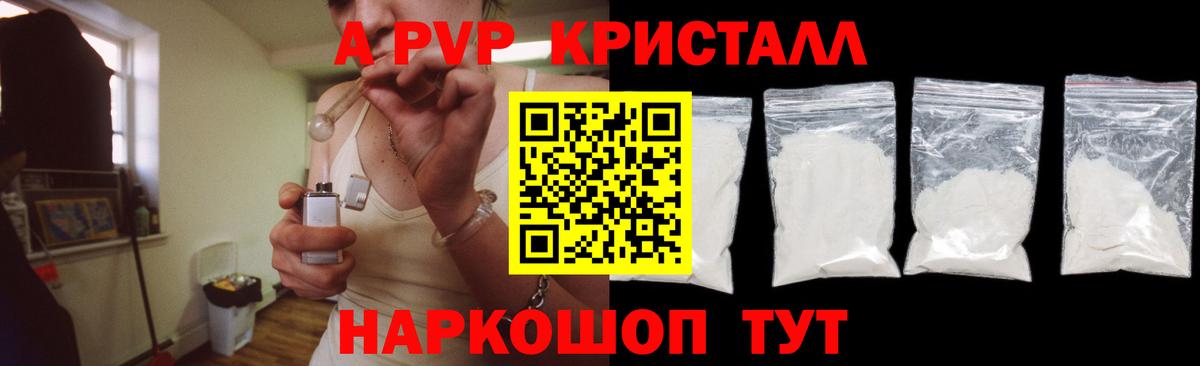 Альфа ПВП СК КРИС Лабинск