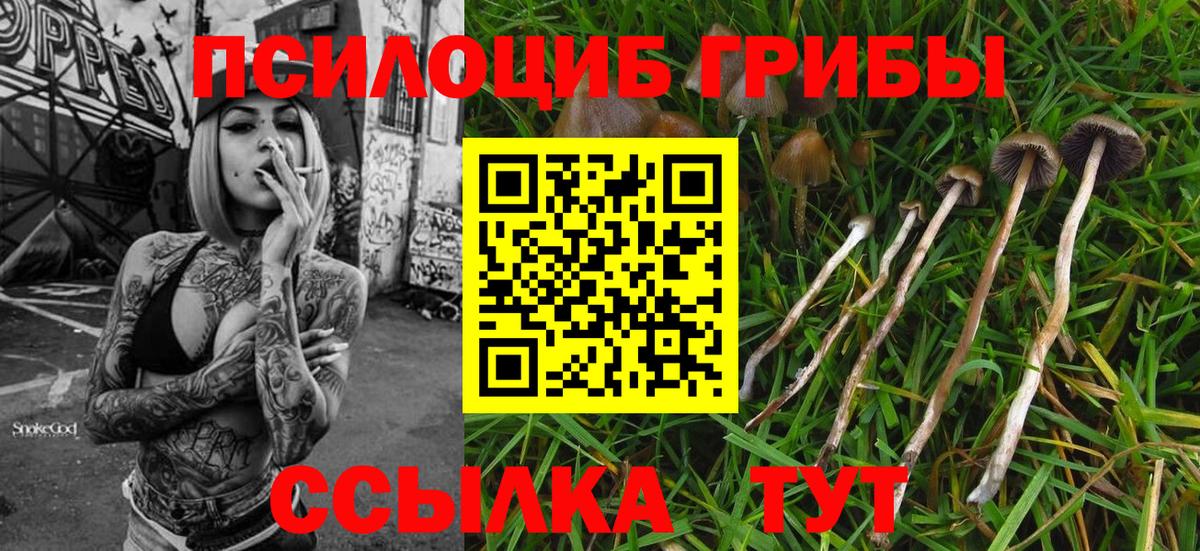 Лабинск  Псилоцибиновые грибы Cubensis  Галлюциногенные грибы мицелий  Вход с VPN 