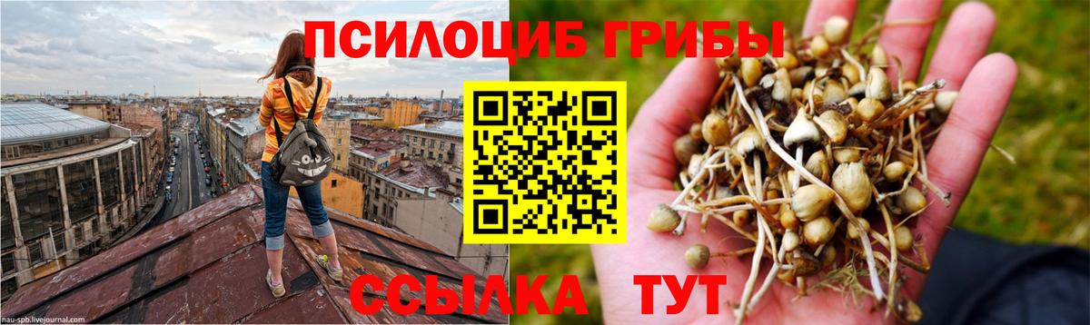 Псилоцибиновые грибы MAGIC MUSHROOMS Лабинск